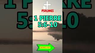 1PIERRE 5610bible dieu jesus motivation verset video viral biblemessage psaume fypシ [upl. by Gauthier]