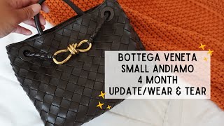 Bottega Veneta Small Andiamo in Fondant  4 Month Update  Wear and Tear  Is it worth it [upl. by Broderick]