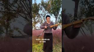 Ep8 Sports Outdoor Sports Recurve bow Please do not shoot in a safe areashorts ytshorts [upl. by Nahsaj]