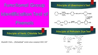 Qualitative Test of Phenols [upl. by Gretel35]