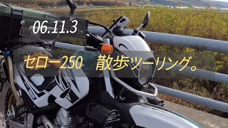 06113 セロー250 散歩ツーリング。 [upl. by Lekkim]