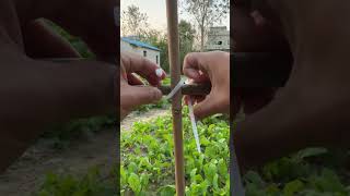 Fixing process of nylon ties for vegetable patch bamboo frame [upl. by Lon294]