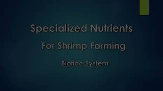 Start Your Own Biofloc Shrimp Farming using our Specialized Products [upl. by Sivrep]