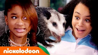 Lay Lay Gets A New Pet Possum  That Girl Lay Lay  Nickelodeon [upl. by Burl]