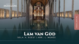 Lam van God  Chr Koor Jigdaljahu [upl. by Dolley24]