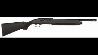 Mossberg 930 shotgun Review Shooting [upl. by Anna-Maria]