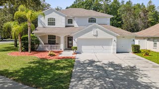 15908 Leatherleaf Ln Land O Lakes FL [upl. by Kolivas]