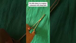 What are Allis tissue forceps used forWhich is a characteristic of Allis forceps [upl. by Acirahs]