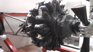 Pratt amp Whitney R2800 CB17  Doppelsternmotor [upl. by Milak]