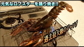 暴れん坊ロブスターを踊り焼きしたらジャンプ攻撃がハンパなかった件。。。 [upl. by Enneiluj]