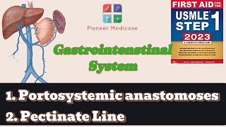 Portosystemic anastomoses pectinate line anatomy of GIT from first aidpart 4USMLEUrduHindi [upl. by Einal]