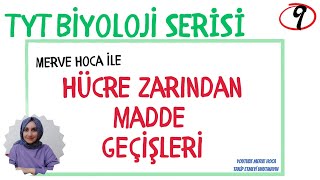 TYT BİYOLOJİ HÜCRE ZARINDAN MADDE GECİŞLERİ tyt [upl. by Ainesey]