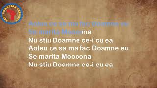 Karaoke AZUR  Se mărită Mona negativ [upl. by Vachel452]