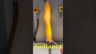 Different colours of flame 🔥 testchemistry science motivation trending [upl. by Klina]