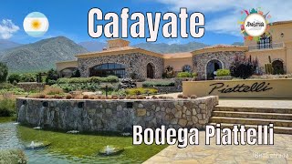 Argentina  Cafayate  Bodega Piattelli [upl. by Siloa]