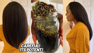 The Most Powerful Hair Growth Oil  Caution‼️It’s Super Potent [upl. by Elleinnod]