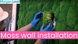 Moss wall installation in a modern London office [upl. by Romy]