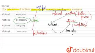 The adaptation of facilitate autogamy in chasmogamous flowers is known as [upl. by Neelik228]