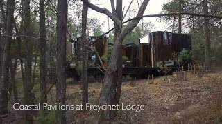 Accommodation in Freycinet National Park  Coastal Pavilions [upl. by Nyllij]