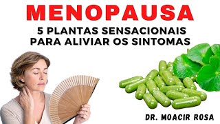 Menopausa 5 Plantas Sensacionais para Aliviar os Sintomas  Dr Moacir Rosa [upl. by Caleb252]