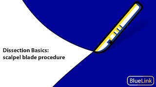 Dissection Basics  Scalpel Blade Procedure [upl. by Gere]