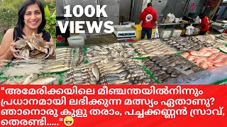 അമേരിക്കയിലെ മീഞ്ചന്ത  Fish Market Tour in USAEng Sub  MarketMalayalam Travel VlogUSA Tour [upl. by Daphna506]