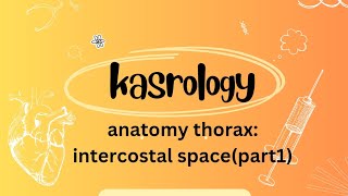 Anatomy of Thorax  Intercostal spaces Part 1  By Reem [upl. by Call]