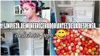 como limpiar y desinfectar tu refrigerador con simples pasos [upl. by Dnaloy982]