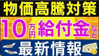 【最新給付金】秋の10万円 進捗状況｜5万円給付｜水道料金無償化など｜自治体の支援策｜概要｜対象者｜支給額｜申請期限｜令和6年度支給要件等 [upl. by Yrrehs]