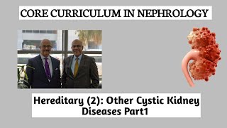 Hereditary 2 Other cystic kidney diseases part1 DrOssama Elkholy [upl. by Delfeena837]