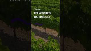 Reencontro na Vinícola  Sinopse [upl. by Septima]