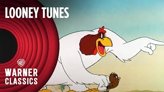 Looney Tunes  Walky Talky Hawky 1946 Full Episode  Warner Classics [upl. by Anaerb]