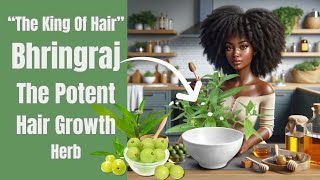 Bhringraj  The Best Hair Growth Remedy [upl. by Pani]