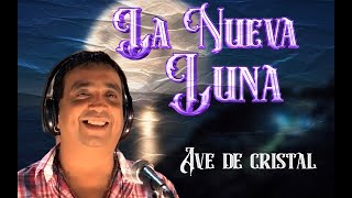 La Nueva Luna  Ave de cristal  Video LYRIC [upl. by Isman]