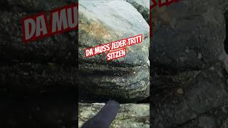 ⚠️Im Winter MUSS jeder TRITT sitzen ⚠️ Wandern Sächsische Schweiz shorts hiking lilienstein [upl. by Josi]