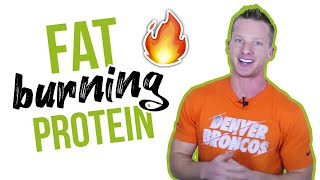 Best Protein Sources To Burn Belly Fat COMPLETE PROTEIN  LiveLeanTV [upl. by Demeyer725]