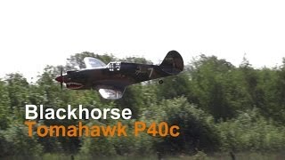 Blackhorse Thomahawk P40c [upl. by Dodd224]