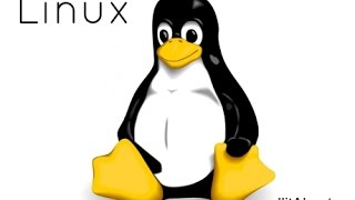 25 Linux chmod командасы 777 және rwx [upl. by Arevle]