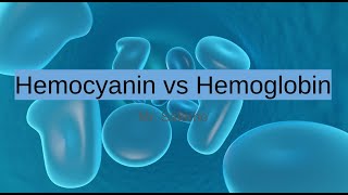 Hemocyanin vs Hemoglobin [upl. by Semyaj]