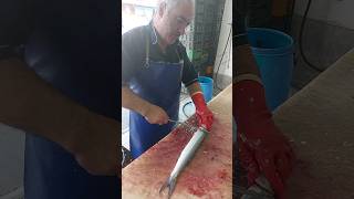 Easy and Fast Barracuda cleaning [upl. by Sayce136]