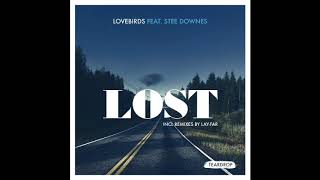 Lovebirds ft Stee Downes  Lost [upl. by Bogosian]