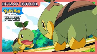 Tortipouss contre Tortipouss  💚  Pokémon  Diamant et Perle Extrait officiel [upl. by Etnahsa]