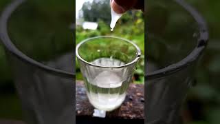 crazy experiment with milk 😌❤️ experiment science scienceexperiment water facts consentgamer [upl. by Keely]