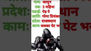 Jamun ka Parichayyoutube shortvideos [upl. by Smada]