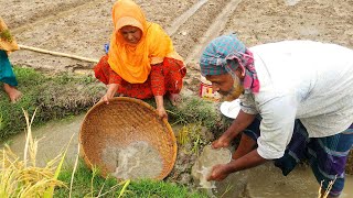 বৃষ্টির পানিতে নালার ছোট মাছ ধরে পুঁই শাক রান্না Brishtir Panite Mach Dhore Taja Pui Shak Recipe [upl. by Nyrb823]