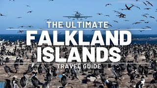 The Falkland Islands Travel Guide A Journey to the Ends of the Earth [upl. by Artur]