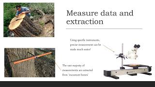 Dendrochronology as a climate proxy [upl. by Mcclelland]