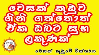 වෙසක් කුඩුවේ අර්ථය දැන ගනිමු  wesak kuduwe arthaya  Daham Asa දහම් ඇස [upl. by Nitsyrc412]