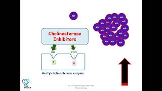 MOA of Cholinesterase inhibitorsAnticholinesterases edrophonium neostigmine  Organophosphates [upl. by Japeth322]