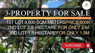 Vlog051 3property for sale 1st lot 800sqm price 800k 2nd lot 26hectare price 2m 3rd lot 15m [upl. by Lind]